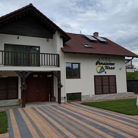 Pensiunea Ursa Hotel Borgóbeszterce Kültér fotó